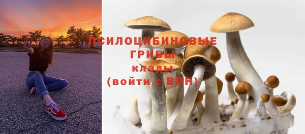 таблы Медногорск