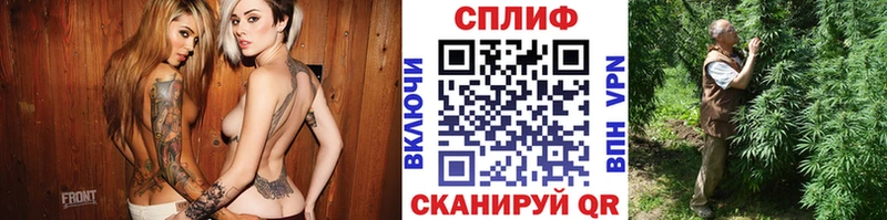 сколько стоит  Партизанск  Каннабис планчик 